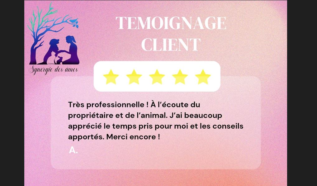 Témoignage client : communication animale et conseils Client satisfait suite à une communication animale ainsi que l'écoute et conseils