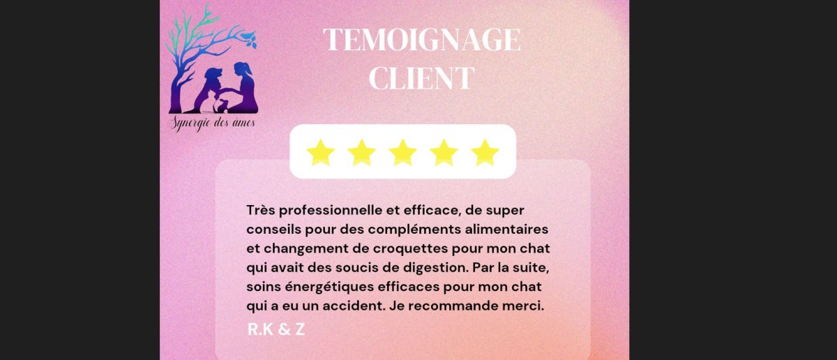 Témoignage client : soins naturels et soins énergétique Retour client satisfait suite à un accident de son chat, soin énergétique et ré-équilibrage alimentaire