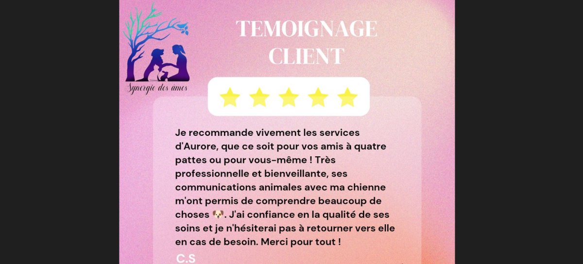 Témoignage client : soins énergétique et communication animale comportementale Témoignage client satisfait suite à une communication animale pour expliquer le comportement de la chienne et soins énergétiques
