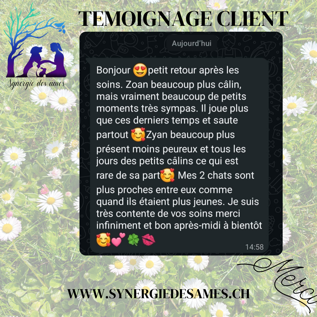 Client satisfait suite à un soin de chromothérapie sur deux chats