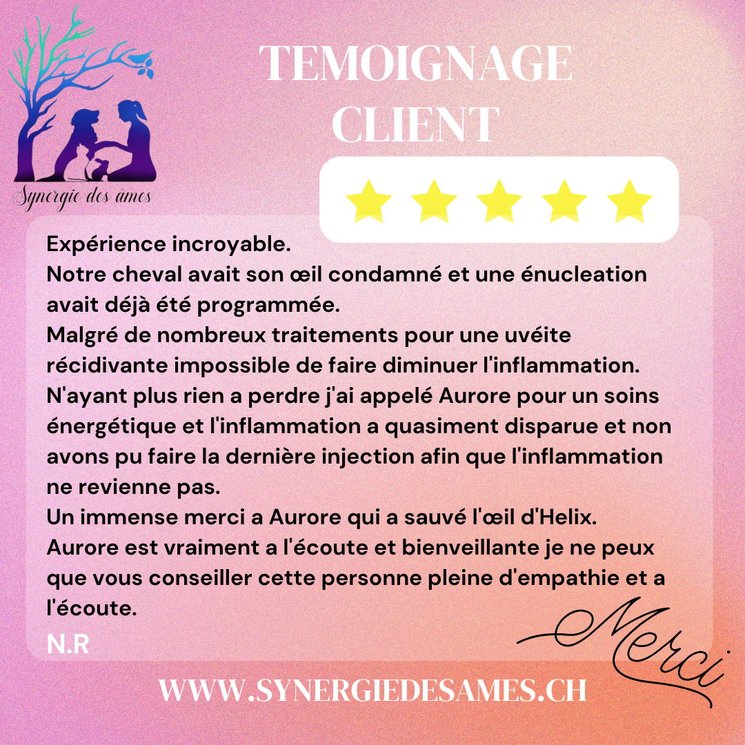 Cheval sujet à une Uvéite