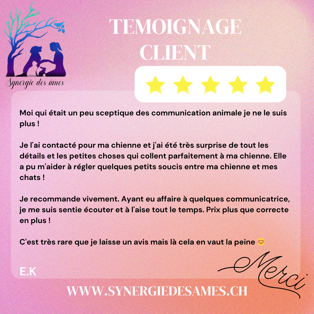 Client satisfait de la communication animale avec sa chienne pour la relation avec les chats du foyer