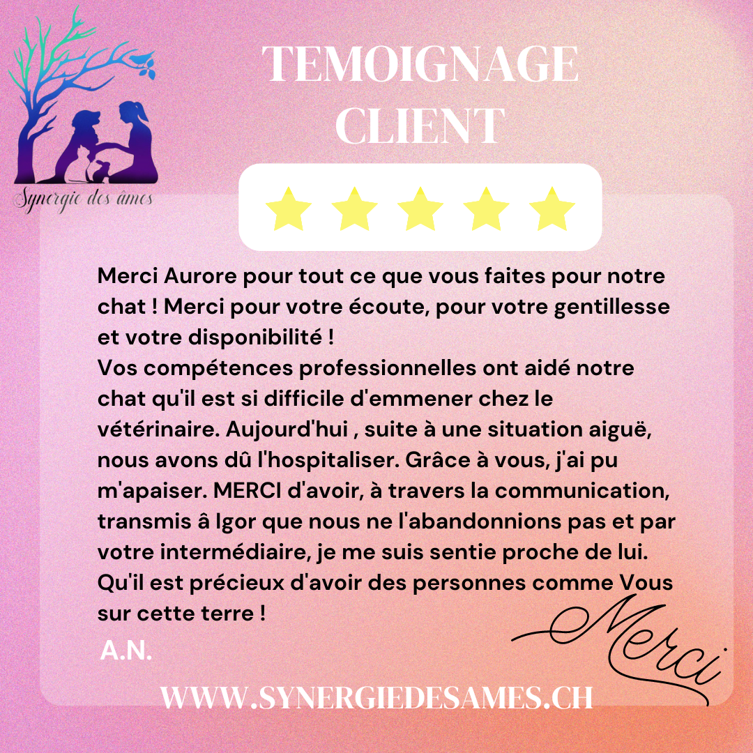 Retour client suite à une communication animale pour un chat difficile d'approcher témoignage client satisfait suite à une communication animale, soins énergétique et des conseils naturels pour son chat, le soutien apporté lors de l'hospitalisation a été fortement apprécié