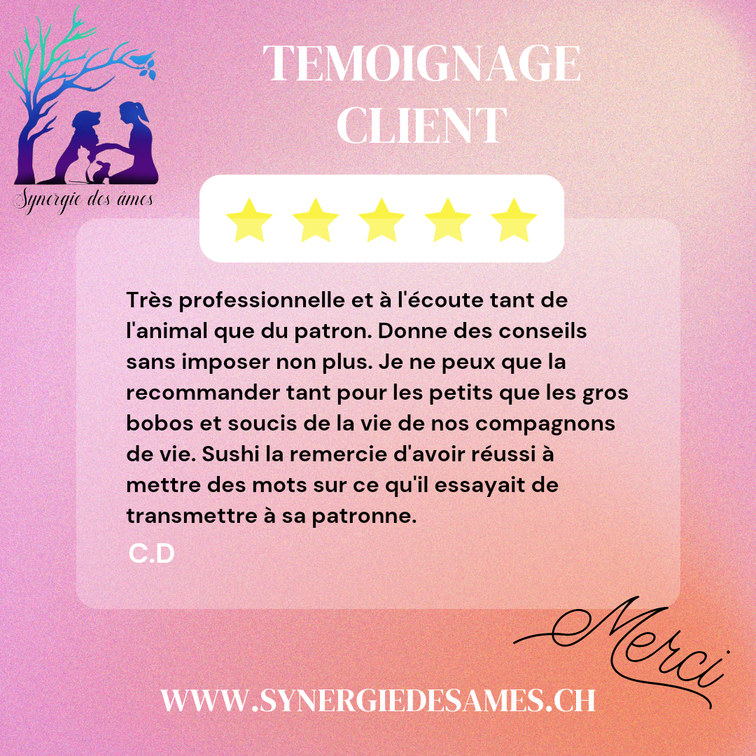 témoignage client soin animal et conseils naturels pour un chien retour d'un client satisfait suite à une communication animale, soins à distance et conseils en thérapie naturelles