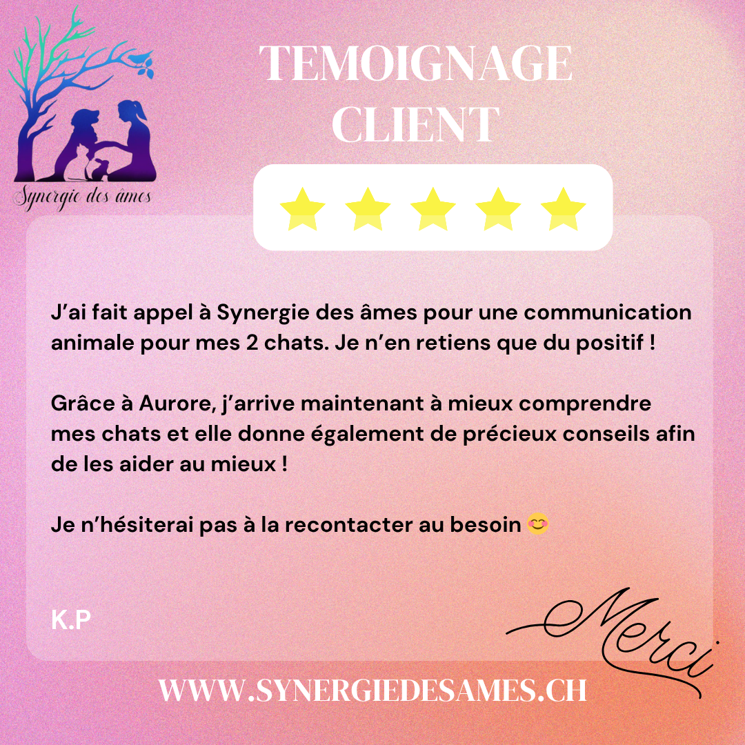 Retour client communication animale et naturopathie animale Témoignage client pour une communication animale pour ses chats ainsi que des conseils naturels pour les aider