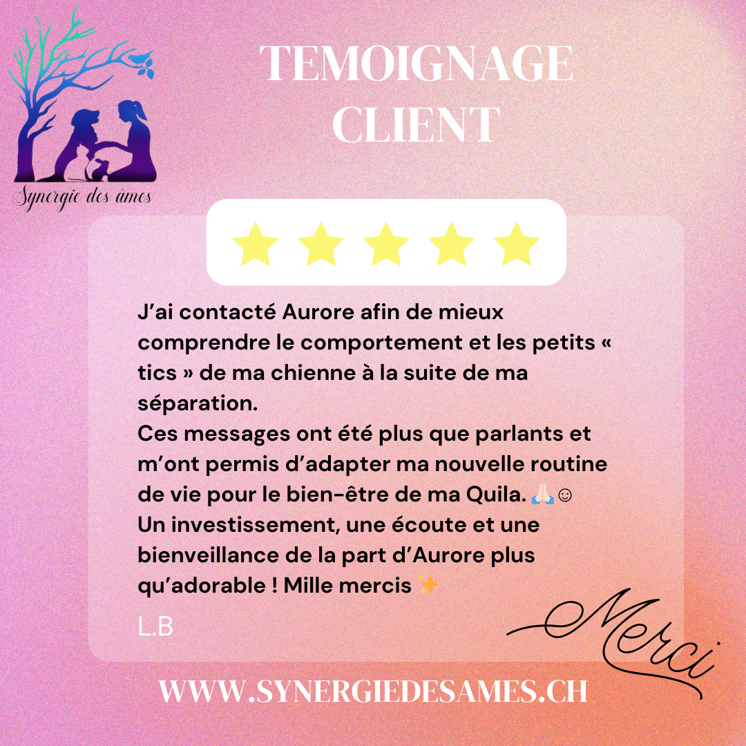 Témoignage client - comportement chien Retour client suite à une communication animale afin de comprendre le comportement d'une chienne