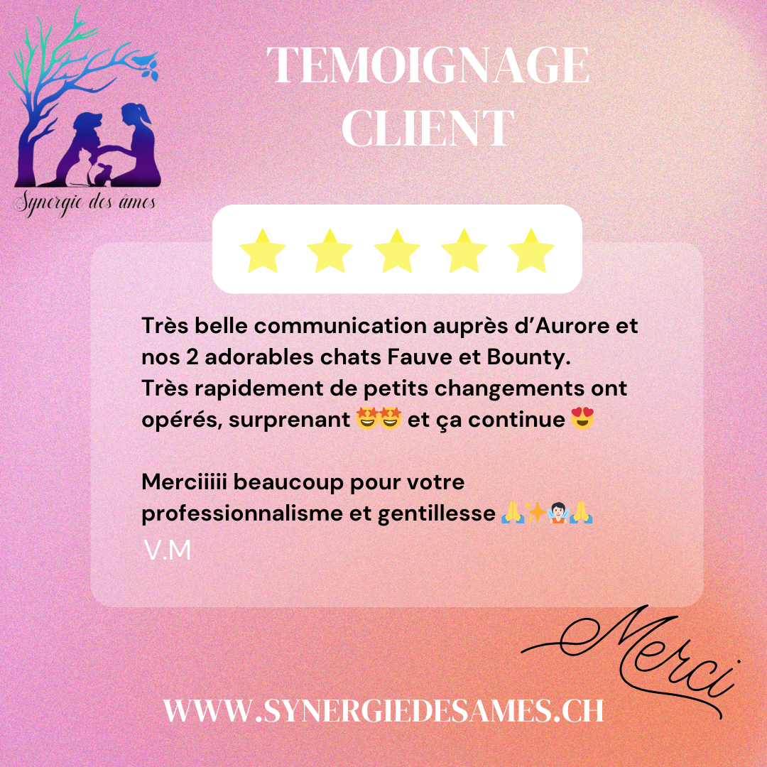 Témoignage client satisfait communication animale Retour cliente satisfaite pour une communication animale de ses 2 chats