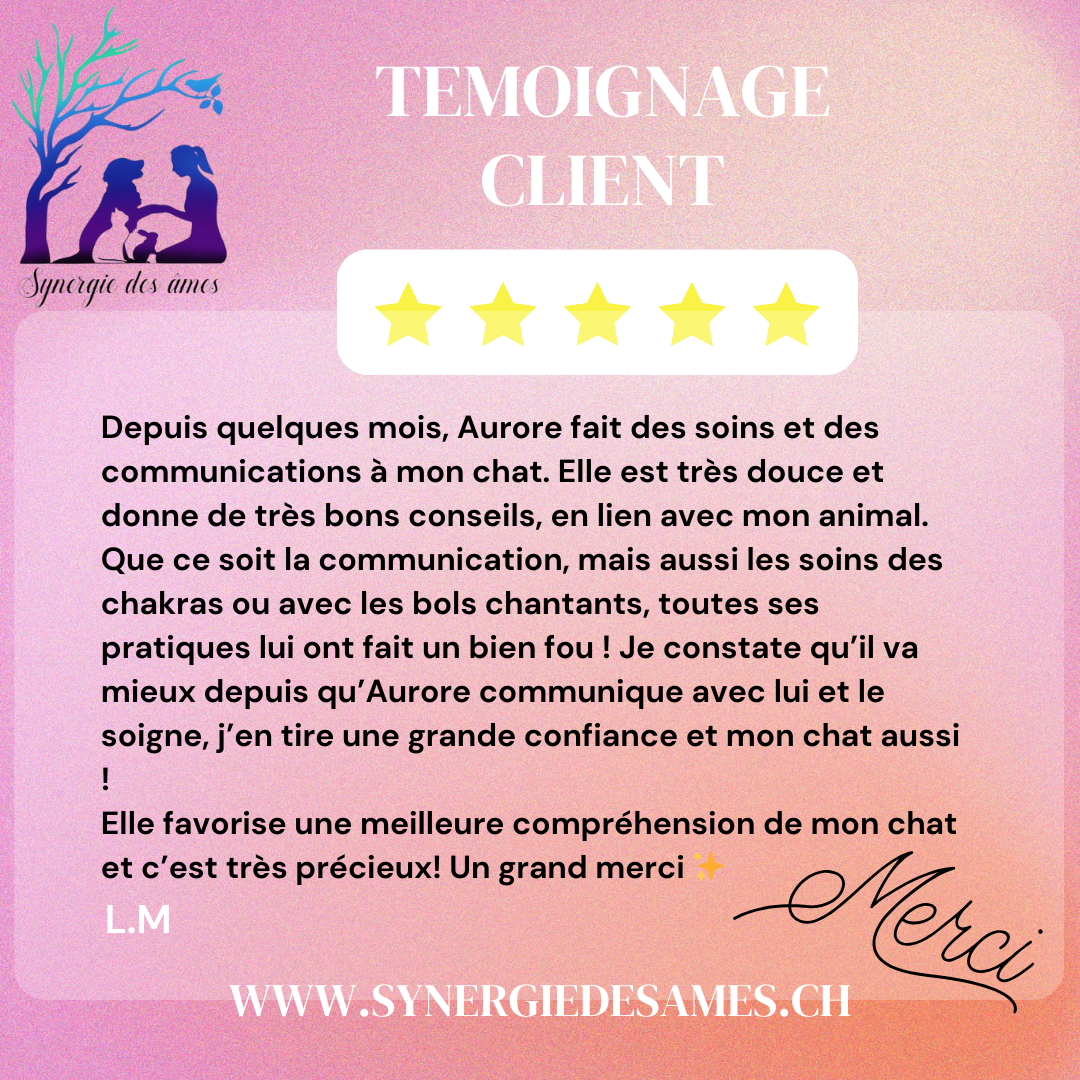Retour client, communication animale et soins énergétique pour un chat Communication animale et soins énergétiques pour un chat