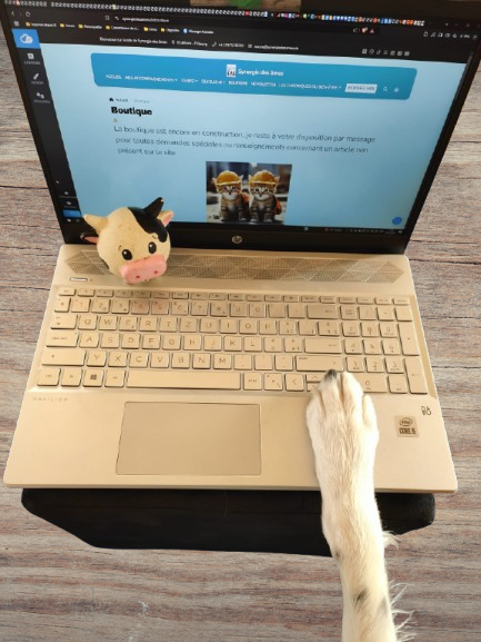 Boutique pour animaux sur whatsapp Retrouvez des articles et aliments pour animaux, vermifuges naturels, articles naturels, biscuits ou jouets amusants sur la boutique en ligne, votre animal va adorer.