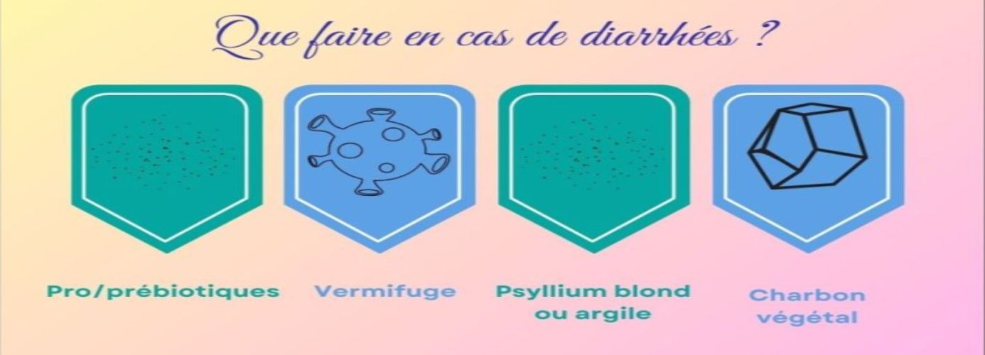 Que faire lors de diarrhée ? Aidez de manière simple, naturelle et efficace votre animal lors de diarrhée