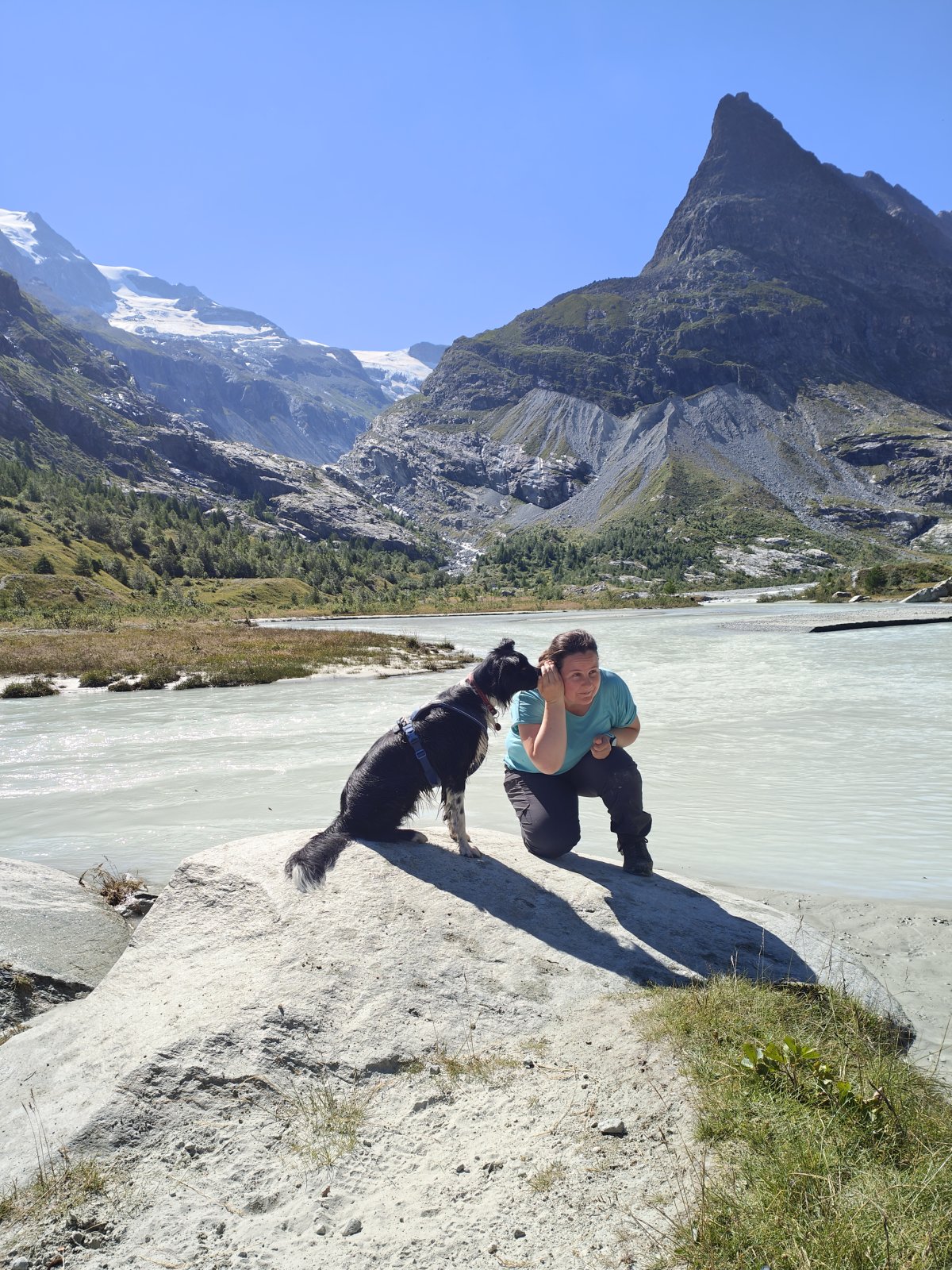 Les secrets de la communication animale et sa pratique