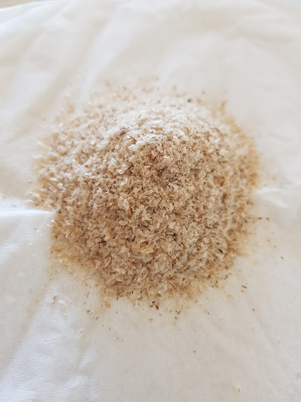 Donner du psyllum blond à son animal lors de diarrhées Alternative naturelle pour la diarrhée le psyllium blond