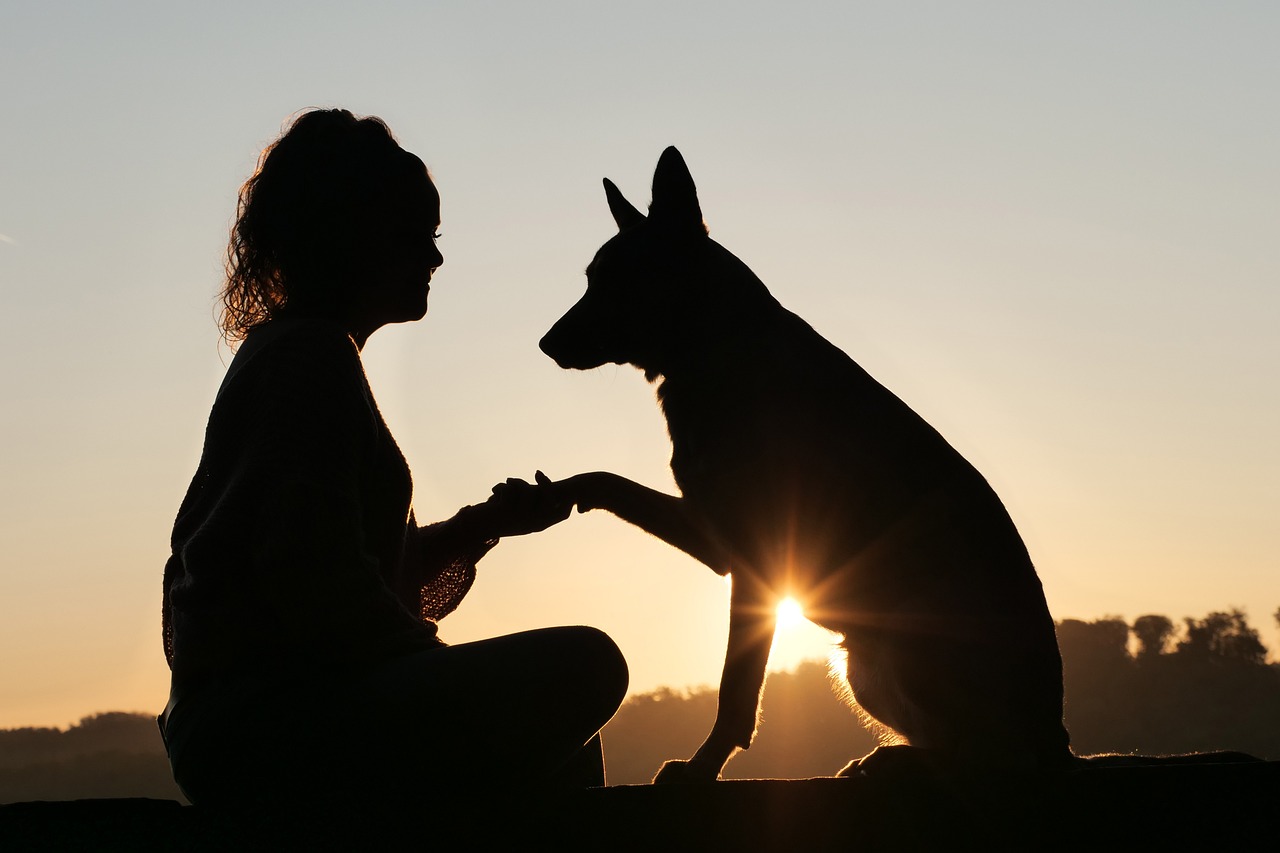 L'importance de l'alimentation pour nos animaux