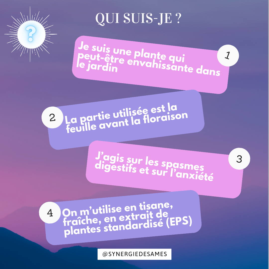 Le rescue pour nos animaux Comment utiliser le rescue, est-ce possible pour nos animaux ? retrouvez dans cet articles les petits plus et infos