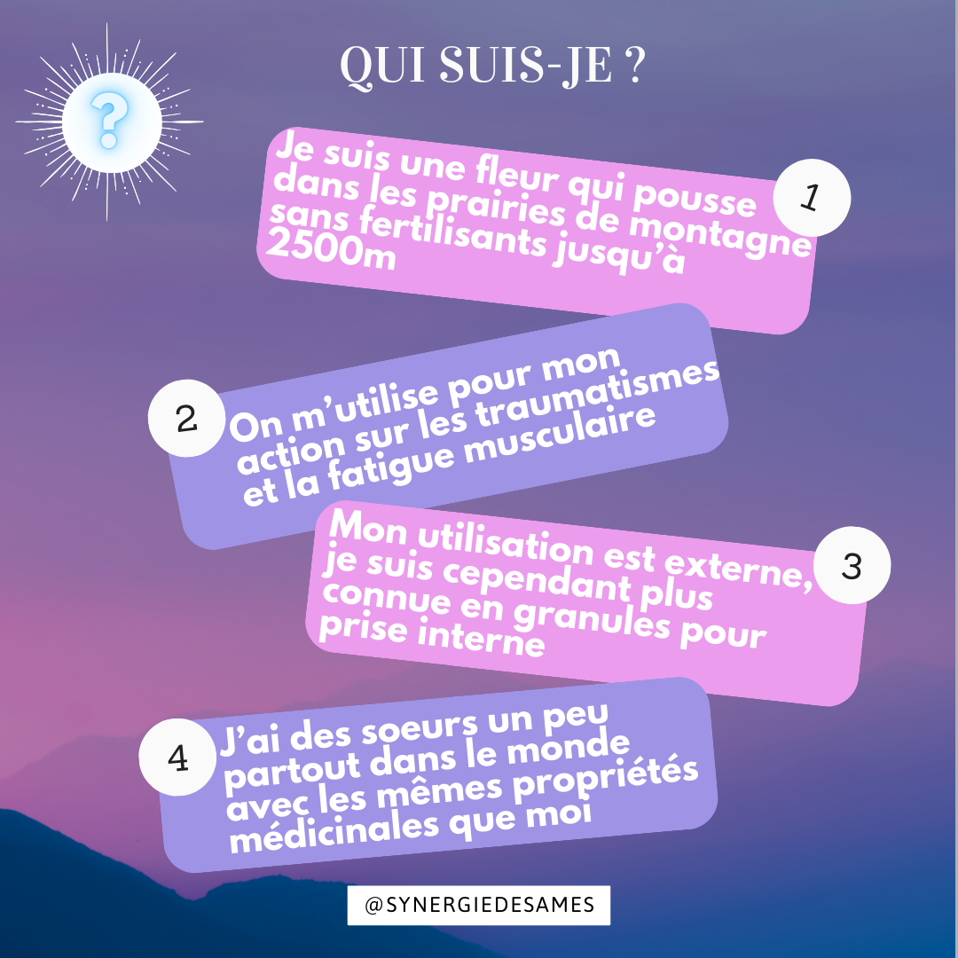 Le rescue pour nos animaux Comment utiliser le rescue, est-ce possible pour nos animaux ? retrouvez dans cet articles les petits plus et infos
