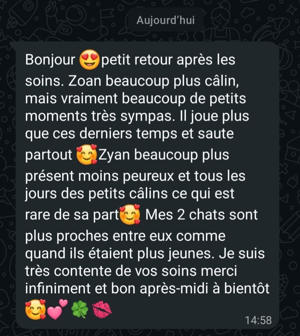 Chromothérapie animale pour deux chats