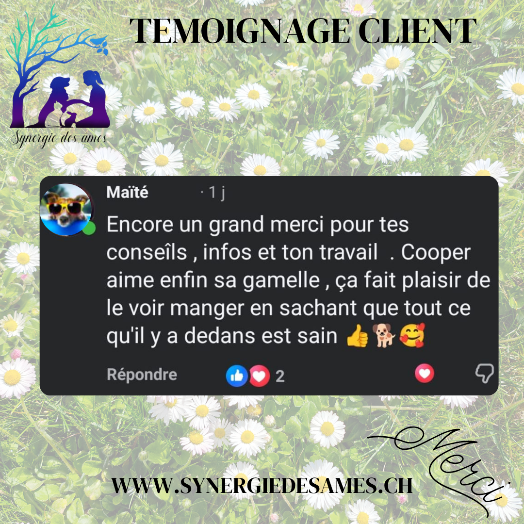 Client satisfait des conseils en nutrition pour son chien senior