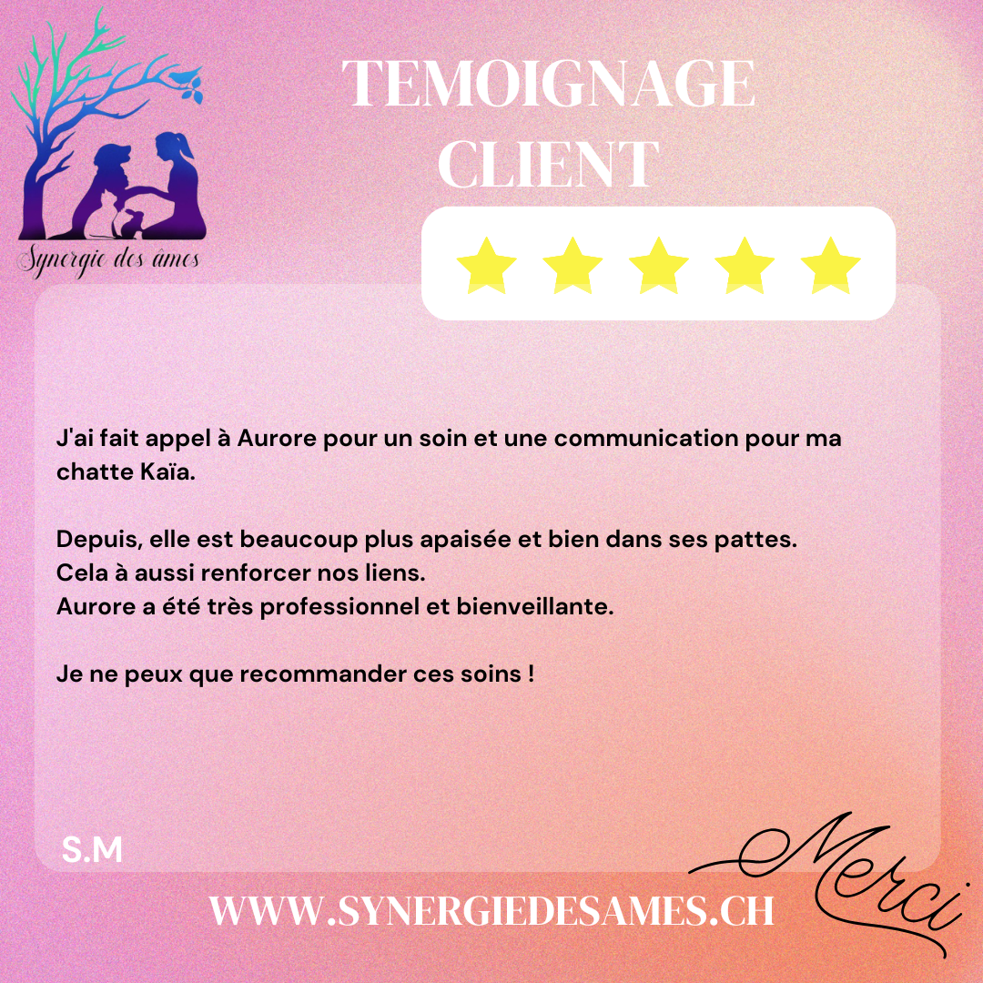 Témoignage client communication animale et soin énergétique pour animaux Client satisfait suite à une communication animale et soin énergétique sur son chat