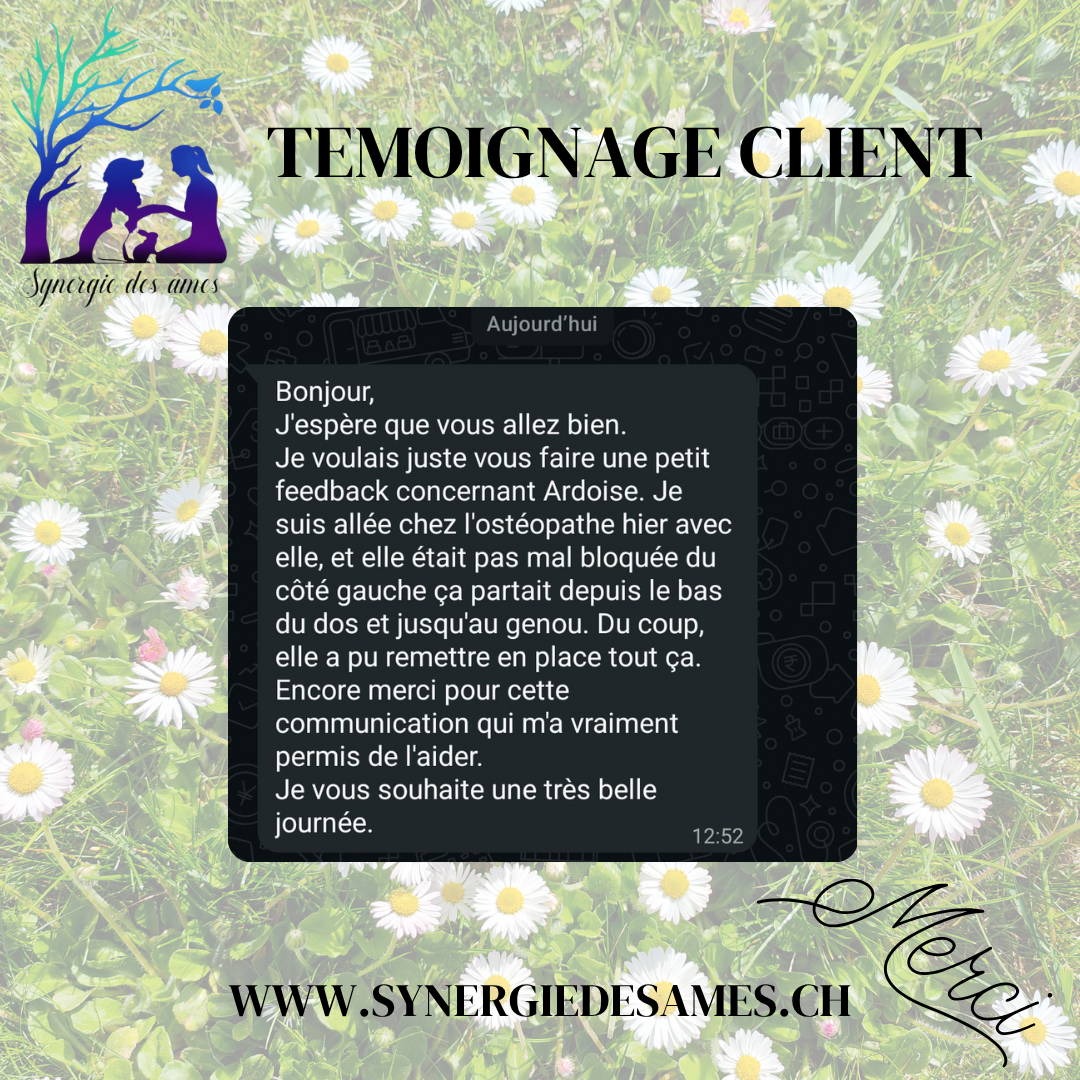 Retour client satisfait suite à des communications animales à distance pour son chat.