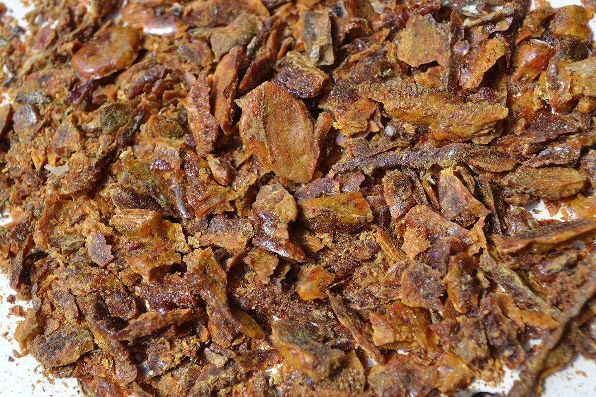 Morceaux de propolis brute issue de la ruche