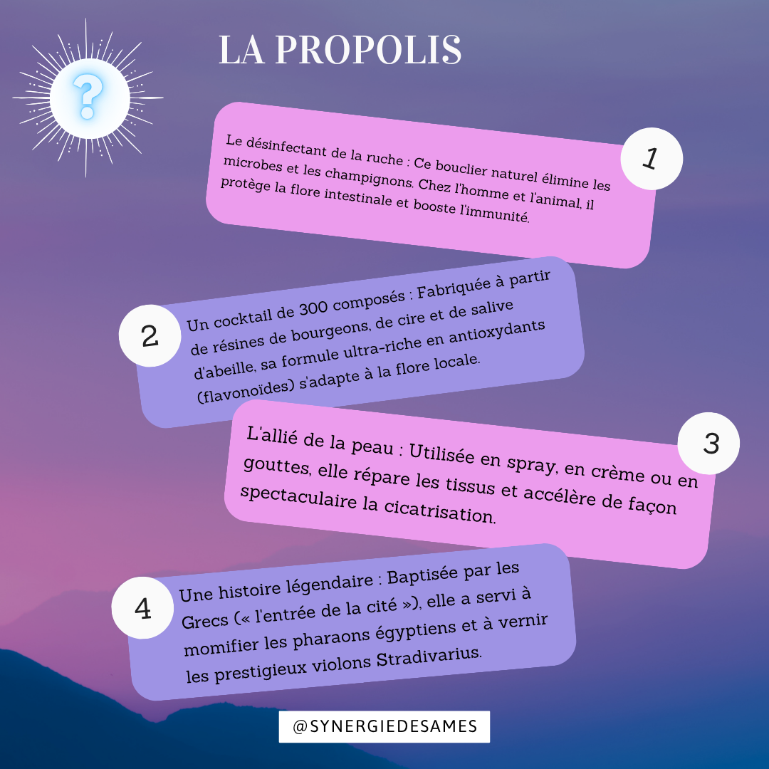 Qui est la propolis ? Remède naturel de la ruche prend place dans la pharmacie apithérapie vétérinaire