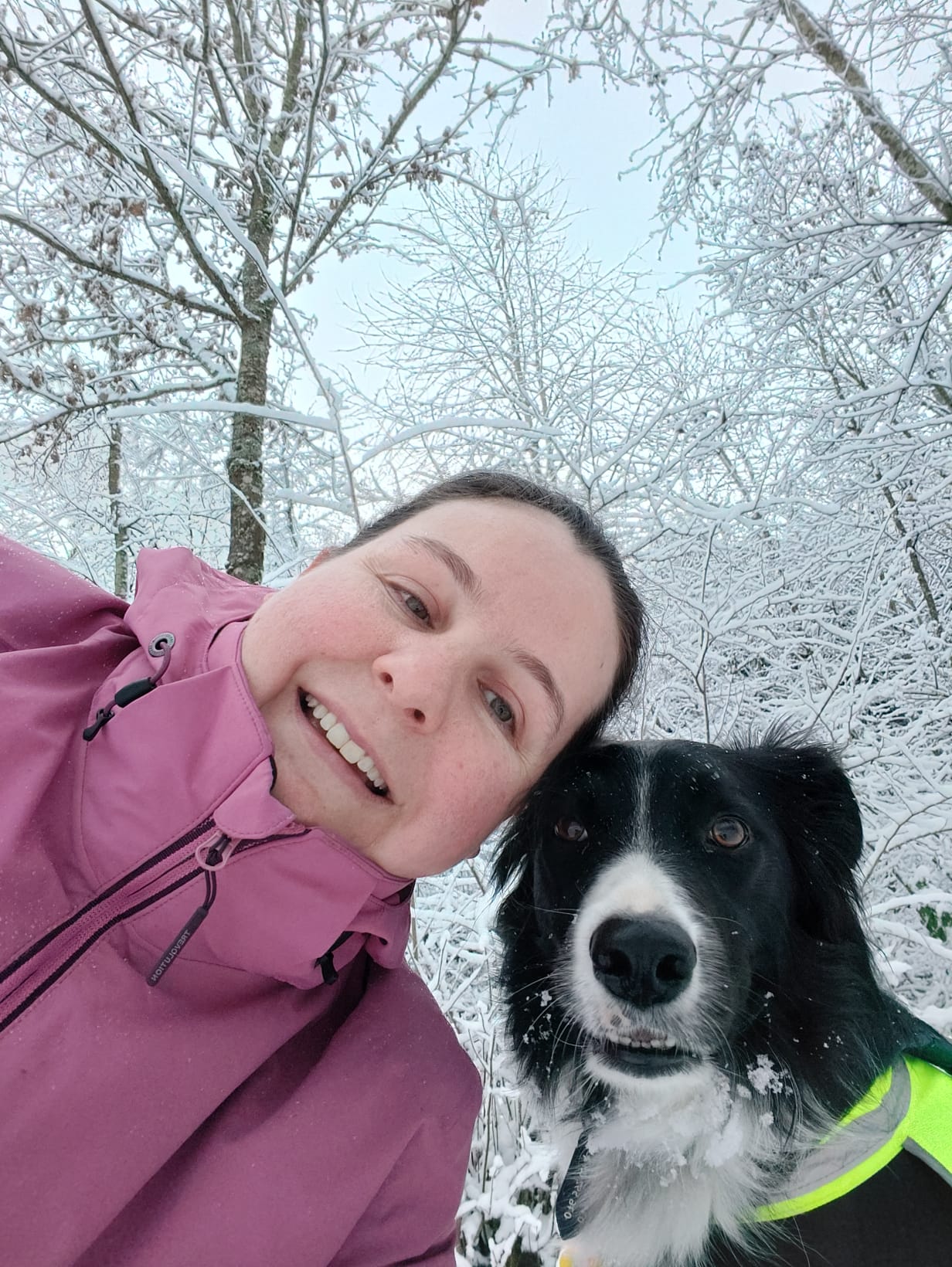 La communication animale un atout à ne pas mettre de coté pour complémenter une visite vétérinaire ou l'éducation canine